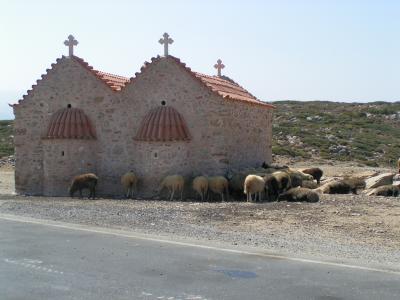 Kirche und Schafe
