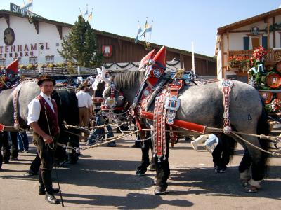 Pferdegespann auf der Wiesn