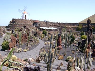 Der Kakteengarten von Lanzarote