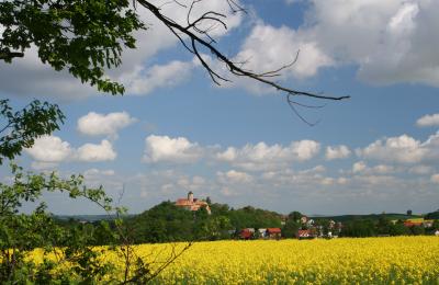 Burg Schönfels im Mai