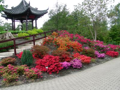 Pavilion mit Rhododendren