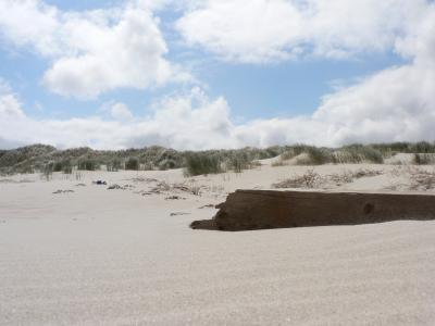 Strandgut auf Baltrum