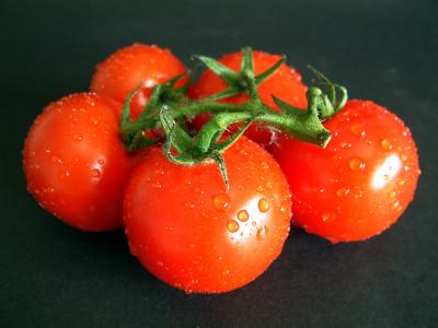 nasse Tomaten