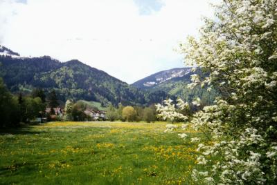 Frühling im Allgäu