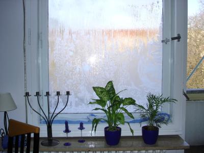 Eiszeit im Wohnzimmer 1