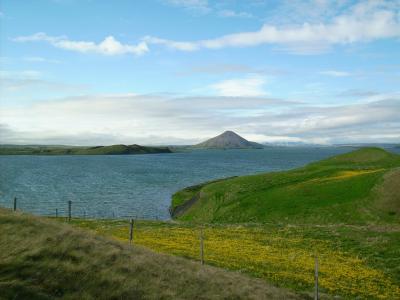 See Mývatn auf Island