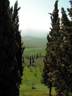 Aussicht 3 von Pienza (Toscana)