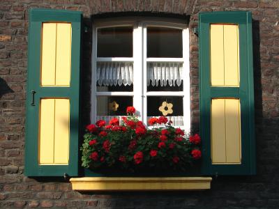 dekoratives Altbaufenster im Halbschatten