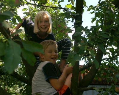 Glückliche Kinder im Apfelbaum