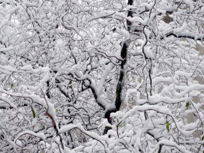 Winterstrukturen