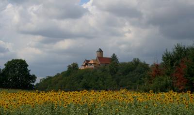 Burg Schönfels vor Sonnenblumen