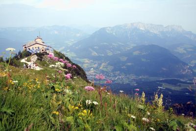 Alpenpflanzen vorm Kehlsteinhaus