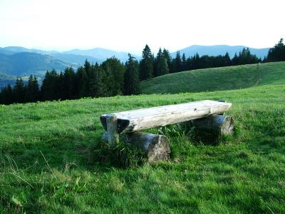 Rast im Schwarzwald