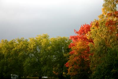 bucurescu 0095 herbst