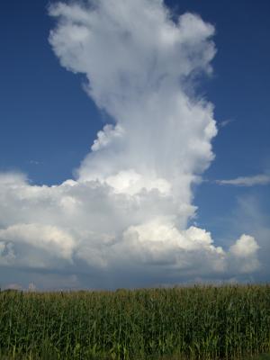 Wolkenbild über Feld