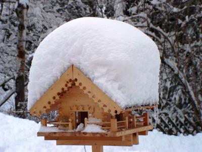 Vogelhaus mit dicker Schneehaube