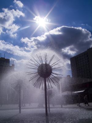 WasserSonnenBlume....