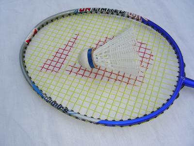 Badmintonschläger 1