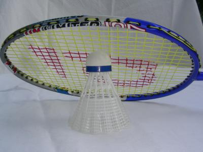 Badmintonschläger 2