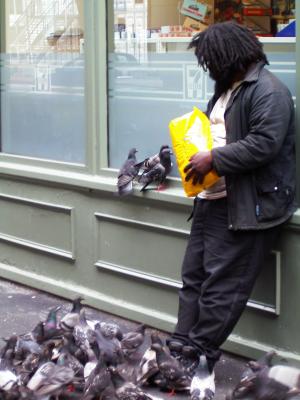 Mann füttert Tauben in Boston