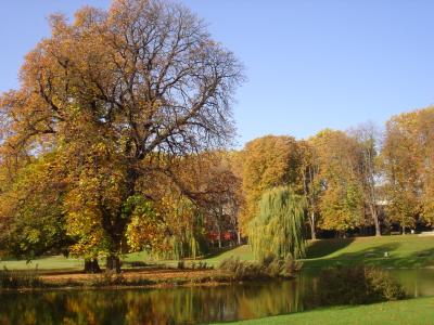 Herbststimmung im Park in Stuttgart