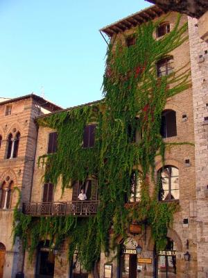 Begrünte Fassade in der Toscana