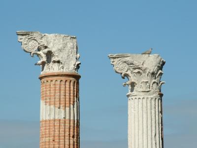 Säulenköpfe mit Taube in Aquilea/Italien