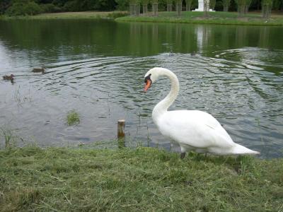 Bin ich fotogen? 02