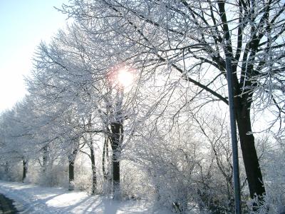 Winterbild02