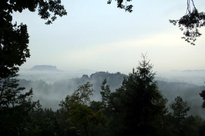 Regenmorgen im Elbsandsteingebirge