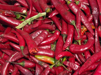 Roter Chili