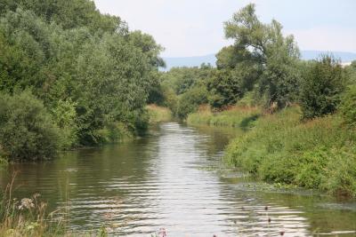 Fluss ins Nirgendwo