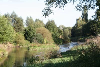 Die Insel im Fluss