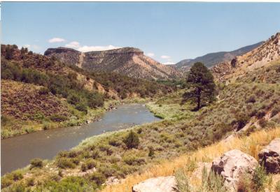 Rio Grande bei Albuquerque, NM