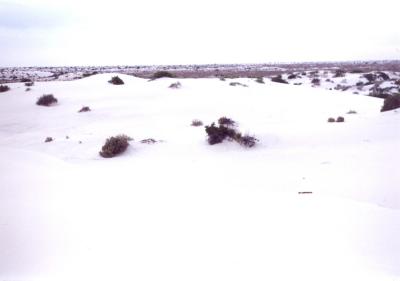 White Sands, NM