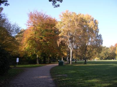 Hamburger Stadtpark im Herbst