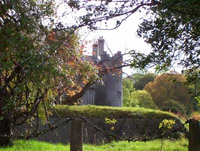 Old Irish Castle