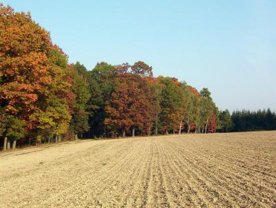 Herbst