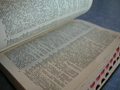 Wörterbuch1