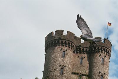 Kasselburg bei Gerolstein