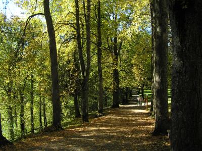 Stadtwald in Füssen Herbstimpressionen