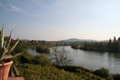 Blick über den Main bei Aschaffenburg