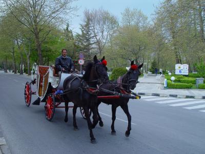 Pferdekutsche in Albena