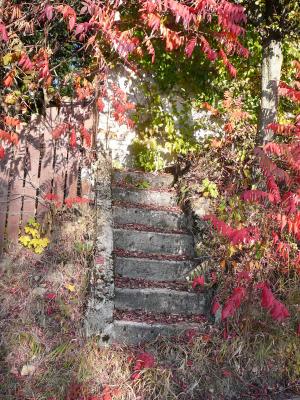 Treppen in den Herbst