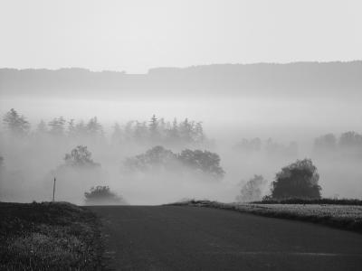 Morgennebel