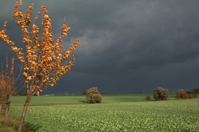 Dunkle Wolken-grüne Felder