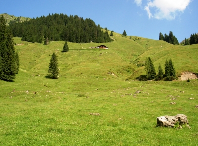 Eine Alm in Fieberbrunn