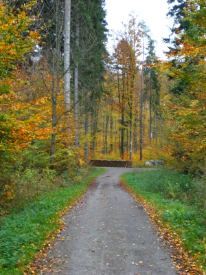 Weg in den Herbst