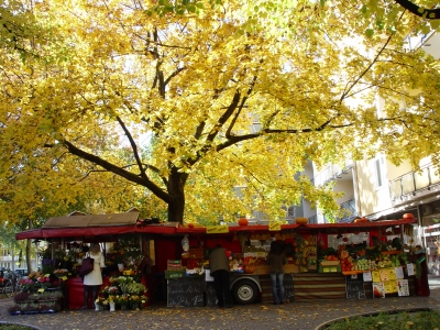 Münchner Marktstand