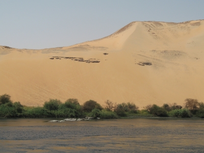 Wüste und Nil